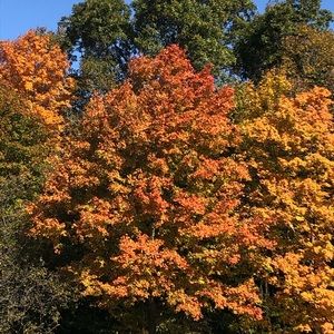 Meet your Posher, Joseph